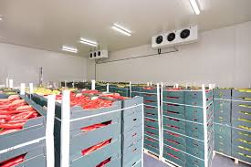 Preserving Freshness: The Critical Role of Chilled Storage in Saudi Arabia
